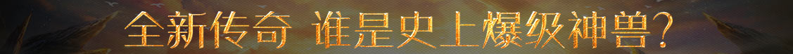 雙金網